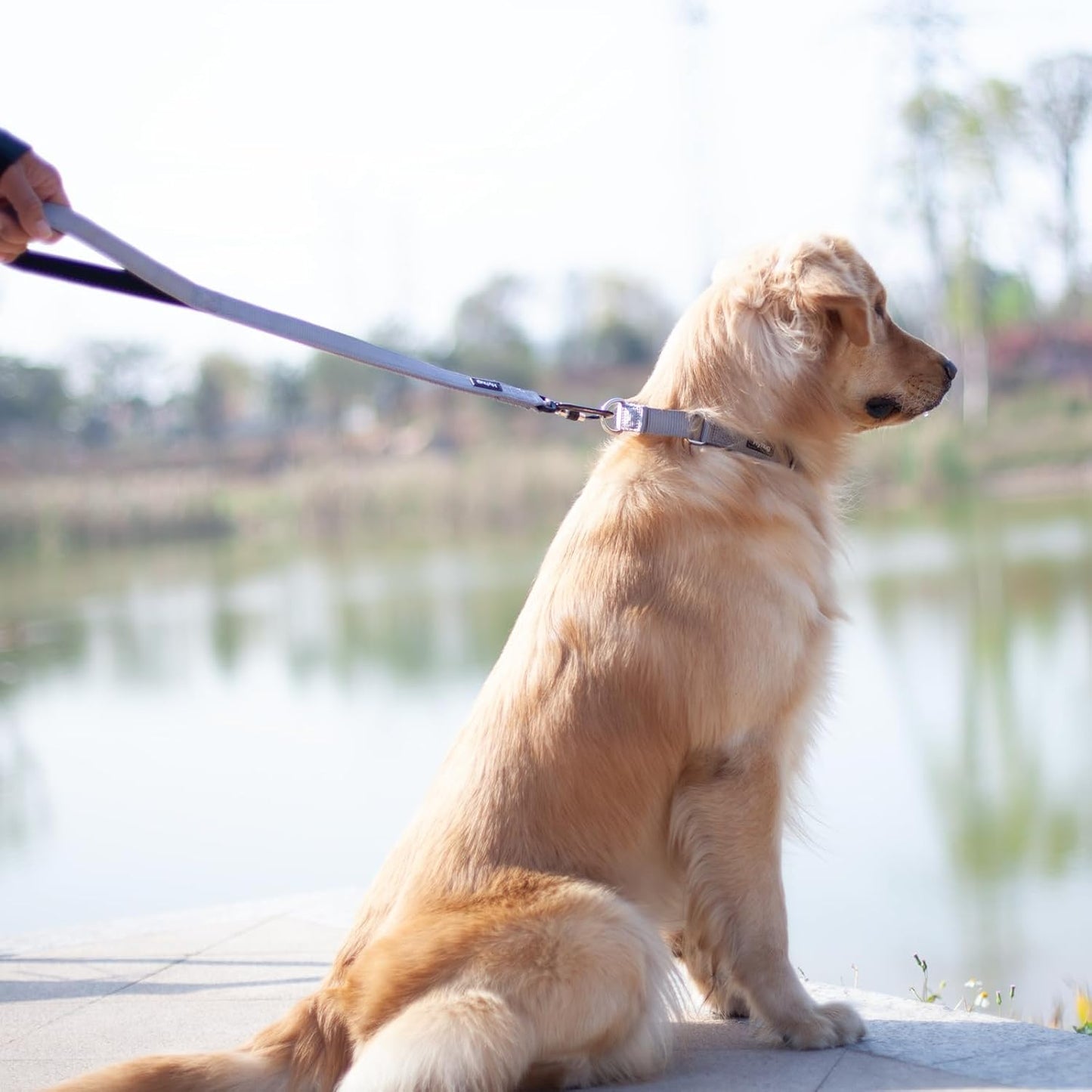 Pets 24 Inches Heavy Duty Short Leash with Comfortable Handle and Lightweight Aviation Aluminium Clip Lead- for Large Medium Dogs Daily Walking and Training. (24 Inches, Sleet Gray)